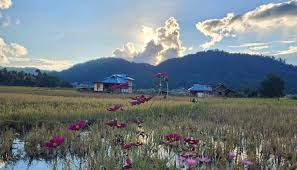 Arunachal Pradesh